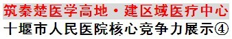 组建医疗联合舰队 彰显区域龙头地位