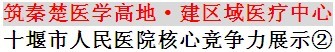 外延发展勇开先河  跨省办院名扬鄂陕