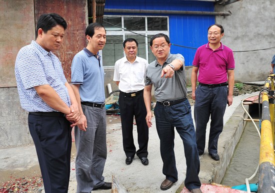 副市长成佳刚考察我院改扩建工程进展