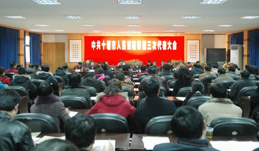 我院四届三次党员代表大会隆重召开